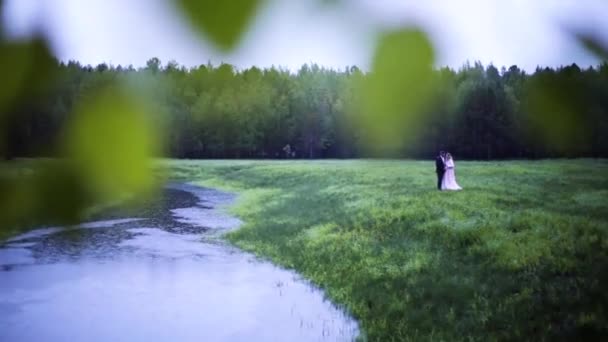 História de amor. Isoria do amor. Casal amoroso em um fundo de prado verde e lago azul — Vídeo de Stock