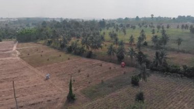 Kırsal tarım meyve alanlar ve acerola bahçeleri, Hindistan cevizi avuç içi ve çiftlik binaları havadan görünümü