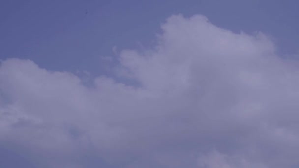 Fondo nubes blancas flotando en el cielo azul . — Vídeos de Stock