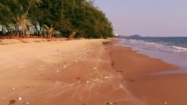 Playa arenosa del océano llena de basura. Concepto ecológico. Catástrofe ecológica — Vídeo de stock