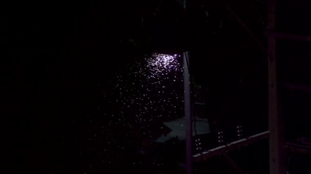 Insectos dando vueltas bajo el poste de la lámpara de la linterna por la noche. Luciérnagas bajo la linterna — Vídeo de stock