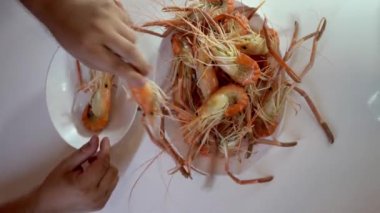 bir tabağa haşlanmış karides koyarak bir balıkçı dükkanını adam. Yakın çekim çekim.