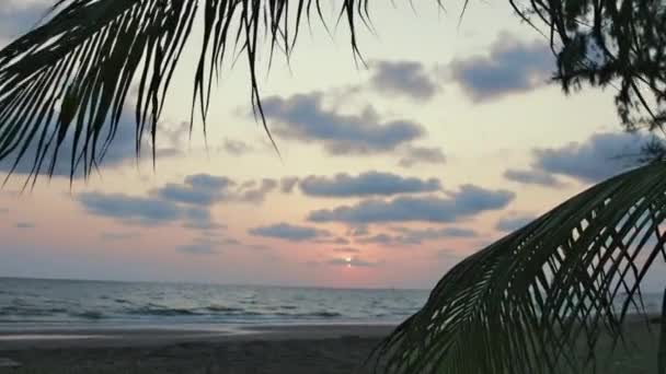 Hermosa puesta de sol rosa sobre el mar en la playa con hojas de palma, fondo — Vídeos de Stock