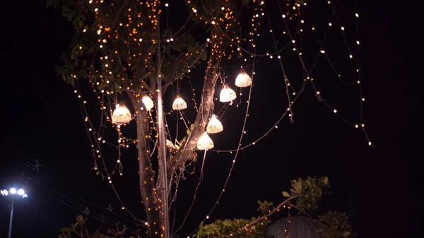 background light bulbs outdoor on a wire against dusk forest, holiday concept