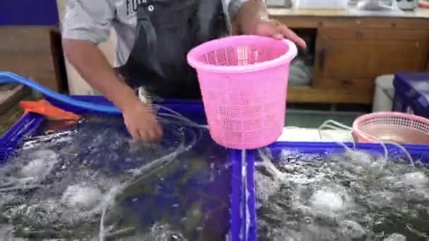 Mariscos Mariscos frescos en el mercado de pescado. Vendedor pone camarones frescos — Vídeo de stock