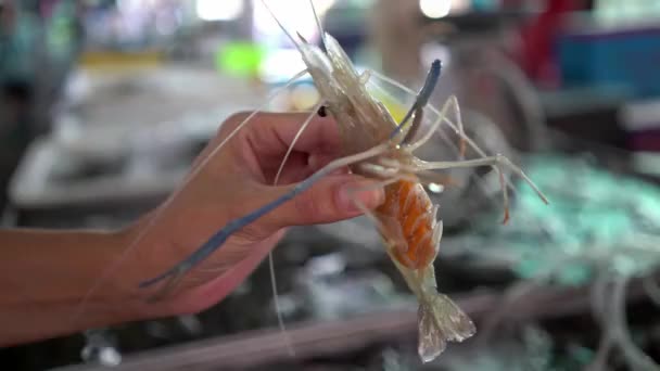 Grandes camarones vivos frescos en la mano de cerca en el mercado de pescado — Vídeo de stock