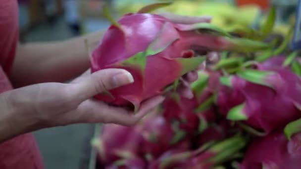 Mujer elegir una fruta de dragón maduro y ponerlo en la cesta de la compra, cliente femenino en las frutas en el mercado, de cerca — Vídeos de Stock