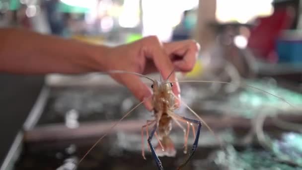 Grandes camarones vivos frescos en la mano de cerca en el mercado de pescado — Vídeo de stock