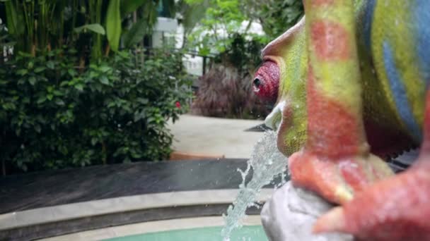 Salpicos de água da fonte na forma de um lagarto multicolorido brilhante. 4k . — Vídeo de Stock
