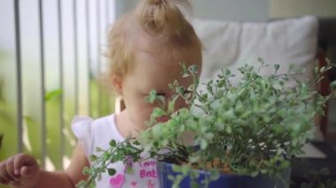 Sakallı erkek serbest meslek sahibi bir bilgisayarda çalışır, bir kızı engelleyen ve bir çiçek bir baba işadamı yanındaki ile çalış. Baba kızı kuyruğundan yavaşça gerizekalı. ağır çekim