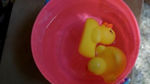 Pattaya, Thaïlande - 10 avril 2019 : canard jaune en plastique flottant dans un seau rose, la main d'un enfant prend un canard - vidéo au ralenti — Video