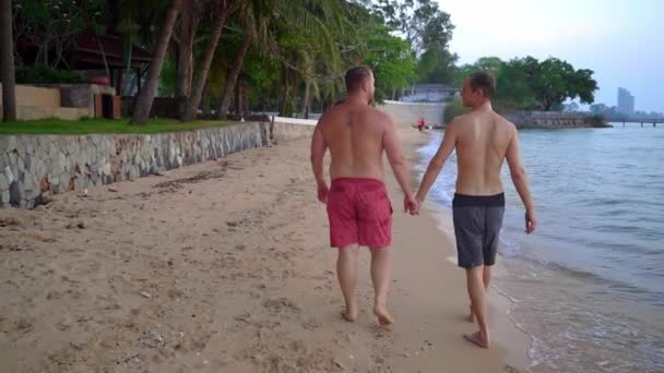 幸せなゲイのカップルは美しい熱帯のビーチで休んでいます。Lgbtの概念 — ストック動画