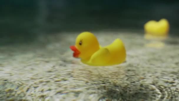 Pattaya, Tailandia - 10 de abril de 2019: pato de plástico amarillo flotando en el agua azul de la piscina - video en cámara lenta — Vídeos de Stock