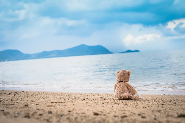 Медвежонок сидит один на берегу моря — стоковое фото