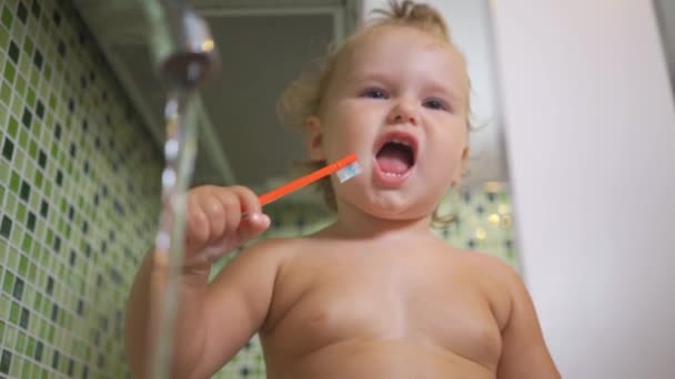 Bebé en el fregadero. El bebé está sentado en el fregadero de la cocina y tocó el agua del grifo. bebé se lava las manos — Vídeo de stock