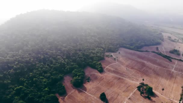 Bela vista do pequeno lago chuvoso na grama verde. Tailândia. vista superior . — Vídeo de Stock