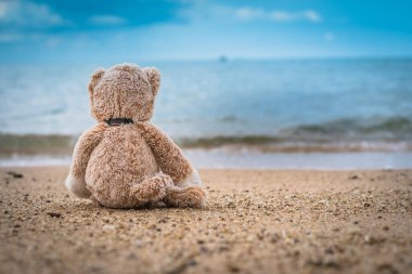 Teddy Ayı sahilde yalnız oturmak