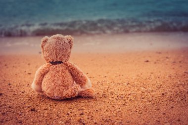 Teddy Ayı sahilde yalnız oturmak