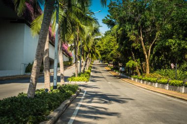 palmiye ağaçları mavi gökyüzü ve bulut karşı olan güzel asfalt yol.
