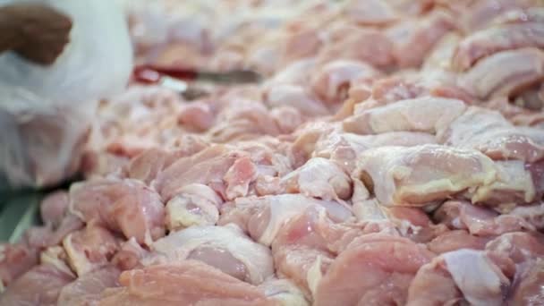 Süpermarkette taze çiğ tavuk seçimi. Pazarda taze tavuk göğsü eti satın alma. — Stok video