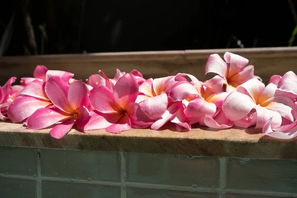 Flores tropicales frangipani plumeria, Leelawadee. El spa. Paz y tranquilidad . —  Fotos de Stock