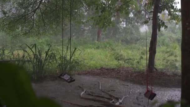 Panorama van groene jungle tijdens tropische regen. Groene jungle bomen en palmbomen, mist en Tropic regen. Lege Swing beweegt van de wind. — Stockvideo