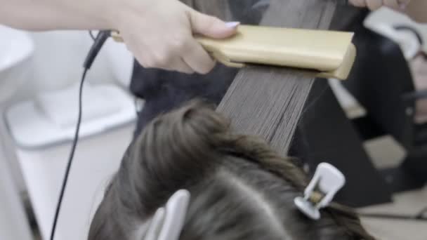 Coiffeur fait la stratification et le lissage des cheveux dans un salon de beauté pour une fille aux cheveux bruns. concept de soins capillaires — Video