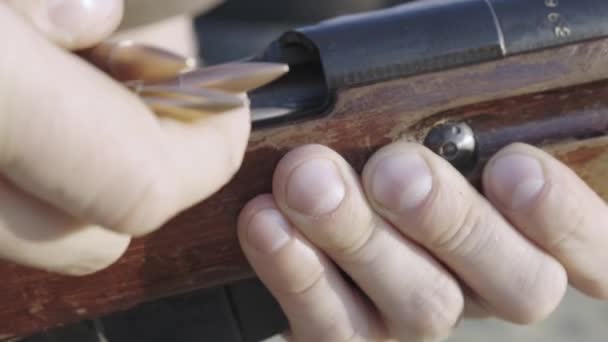 Männliche Finger laden die Patrone altes Gewehr einer nach dem anderen — Stockvideo