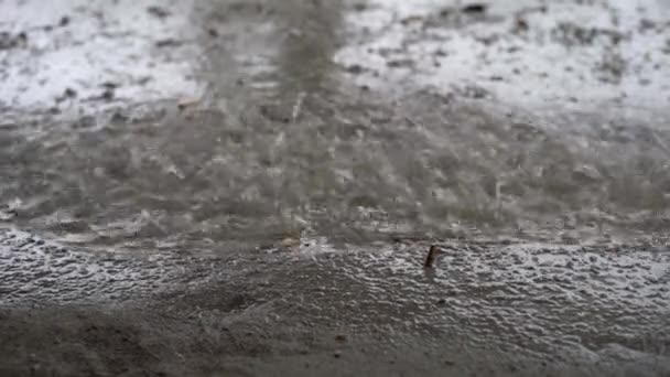 Grüner Dschungel bei tropischem Regen. grüne Dschungelbäume und Palmen, Nebel und tropischer Regen — Stockvideo