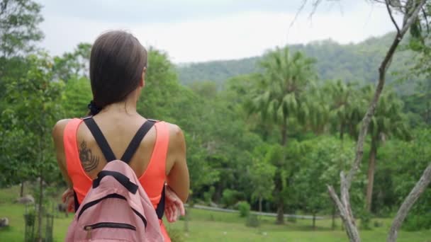 美丽的雨林与一个年轻的女旅行者与背包的道路上，以森林泰国。一个女人沿着热带道路行走，欣赏自然美景. — 图库视频影像