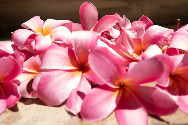 Tropikalne kwiaty Frangipani Plumeria, Leelawadee. W spa. Spokój i cisza. — Zdjęcie stockowe