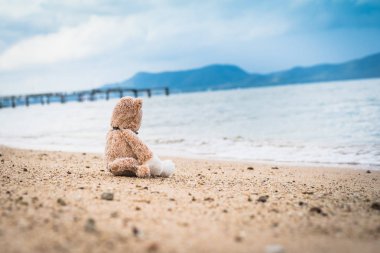 Teddy Ayı sahilde yalnız oturmak