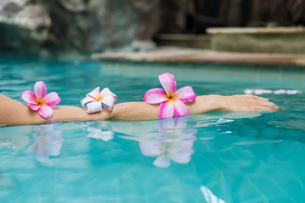 Руки над басейном з квітами. Тропічні квіти Leelawadee, що плавають у воді. У спа-басейні. Миру і спокою. Концепція спа-центру. — стокове фото