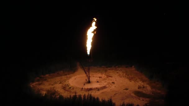 Enorme tocha de fogo acesa no meio da floresta à noite. processamento de gás, conceito de poluição ambiental, aquecimento global — Vídeo de Stock