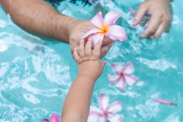 Family Spa. male and baby hands holding pink flower in turquoise pool water.