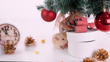Mutlu yıllar 2020. Bir sıçanla Noel kompozisyonu, yılın sembolü. Noel ağacı, hediye kutuları ve saatler yakınında Rat.