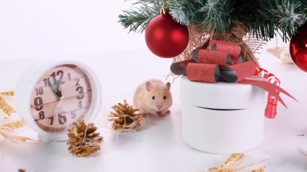 Happy New Year. The symbol of the New Year 2020 is a white or metal silver rat — Stock Video