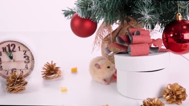 Gott nytt år 2020. Jul komposition med en råtta, en symbol för året. Råtta nära julgranen, presentaskar och klockor. — Stockvideo