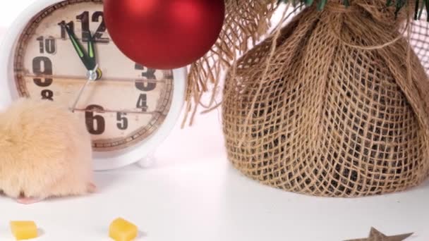 Символ Нового 2020 року це щур біля новорічної ялинки, годинники та подарунки. Концепція Нового року — стокове відео