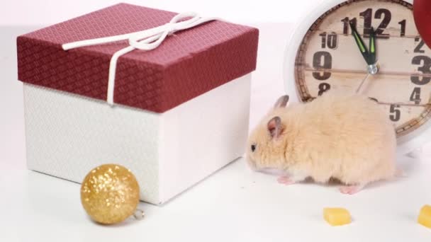 Das Symbol des neuen Jahres 2020 ist eine Ratte in der Nähe des Neujahrsbaums, Uhren und Geschenke. Neujahrskonzept — Stockvideo