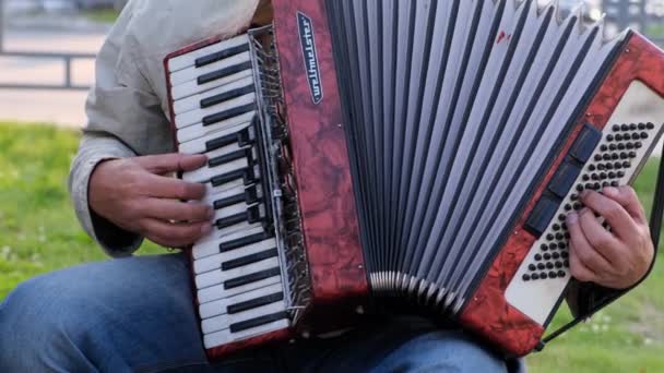 Nijnevartovsk, Russie - 25 août 2019 : les musiciens de rue jouent de l'accordéon et de la trompette — Video