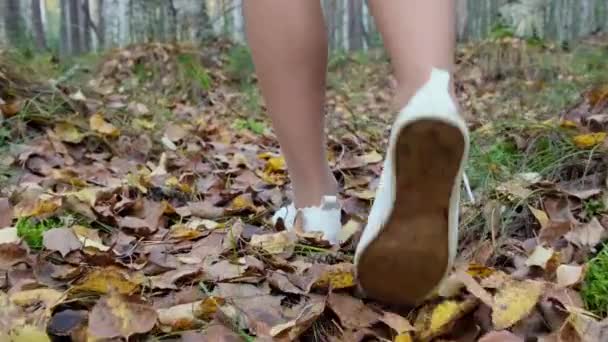 Jambes féminines en baskets blanches marchent à travers la forêt d'automne — Video