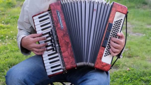 Nizhnevartovsk, Russia - 25 agosto 2019: musicisti di strada suonano la fisarmonica e la tromba — Video Stock