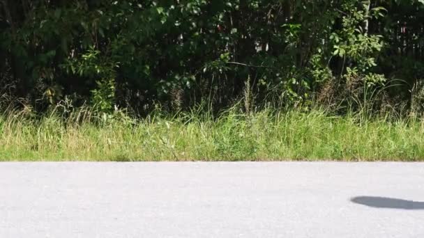Pernas em patins dirigem ao longo de uma estrada de asfalto em um parque em um dia ensolarado . — Vídeo de Stock
