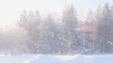 Güzel karla kaplı orman seyyar bir trenin penceresinden görülebilir..