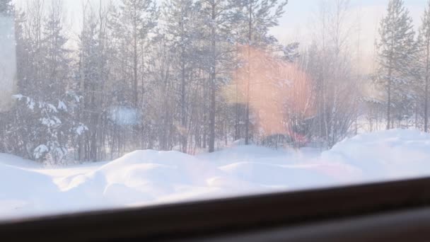 Prachtig besneeuwd bos is zichtbaar vanuit het raam van een reizende trein. — Stockvideo