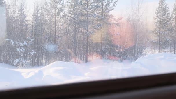 Bela floresta coberta de neve é visível a partir da janela de um trem viajante . — Vídeo de Stock