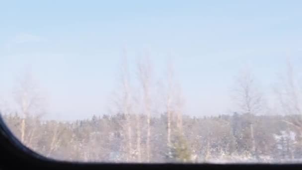 Hermoso bosque cubierto de nieve es visible desde la ventana de un tren de viaje . — Vídeos de Stock