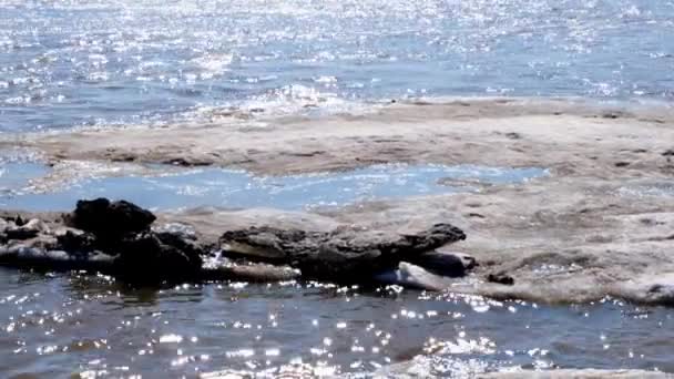 Zavřít ledové plochy plovoucí na řece Ob. — Stock video