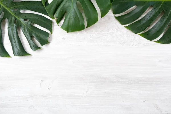 Trendy summer tropical leaves, Tropical leaves on white background, Summer tropical backgrounds, Minimal concept, Flat lay, copy space,